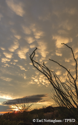 clouds